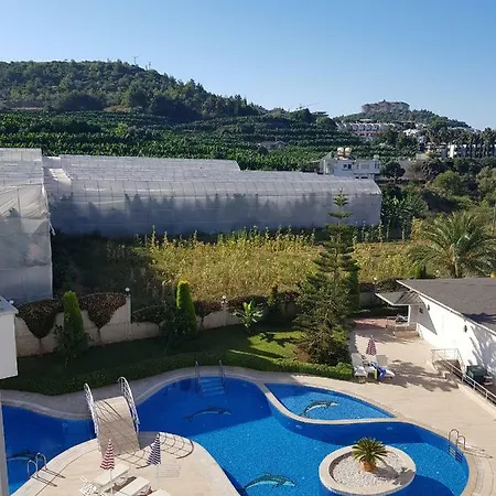 Mirabel A Alanya